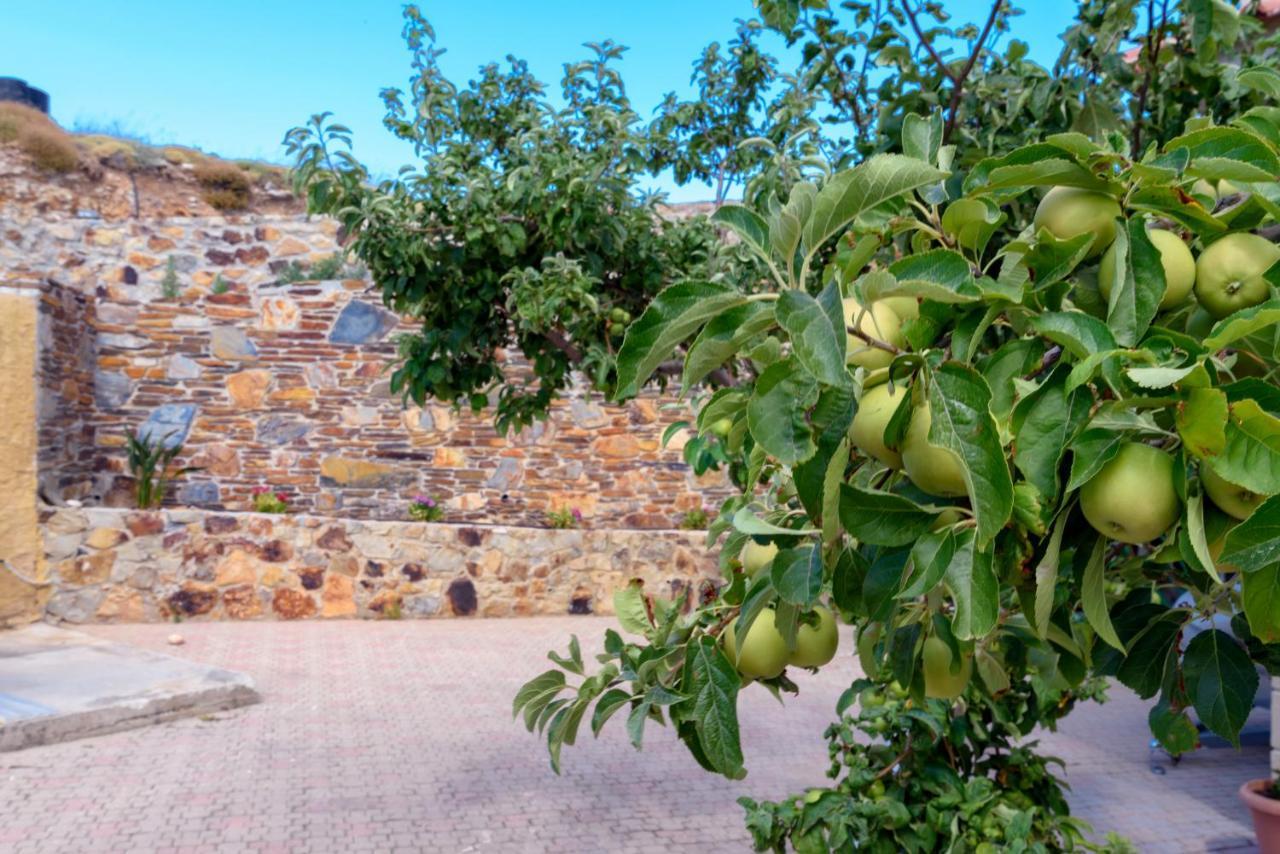 Best View Mountain Villa Teménia المظهر الخارجي الصورة